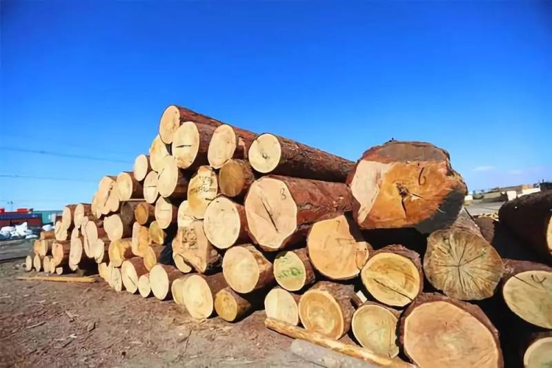 越南前9月林产品出口额达近80亿美元